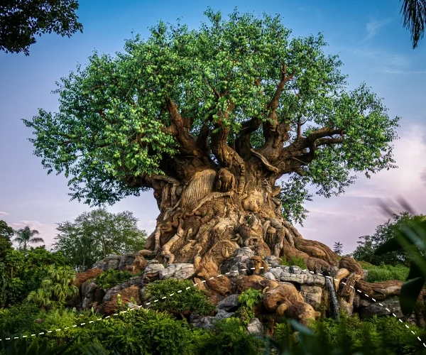 site-encanto-disney(2) site-encanto-disney(2)