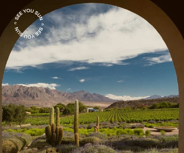 site-winetour-(5) site-winetour-(5)